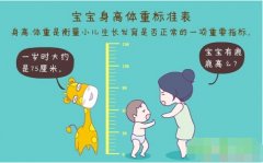 超声波好色先生污版APP正确测量方法标准身高体